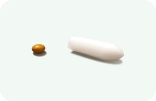 Chemical structure of M8250- Aldicarb.